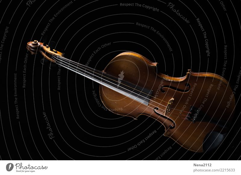 Violin 10 Art Music Listen to music Concert Outdoor festival Stage Opera Band Musician Orchestra Emotions Moody Joy Joie de vivre (Vitality) Anticipation