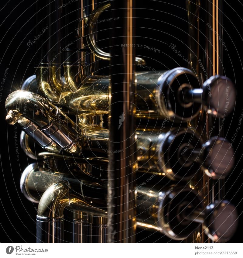 Trumpet - Q4 Art Artist Music Listen to music Concert Outdoor festival Stage Opera Band Musician Orchestra Wind instrument Brass instrument Keyboard Metal