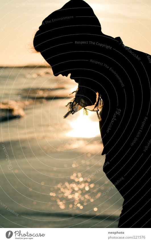 silhouette Head Hair and hairstyles Joy Happy Beach Ocean Sunset Reflection Water Contentment Relaxation Vacation & Travel Subdued colour Exterior shot Light