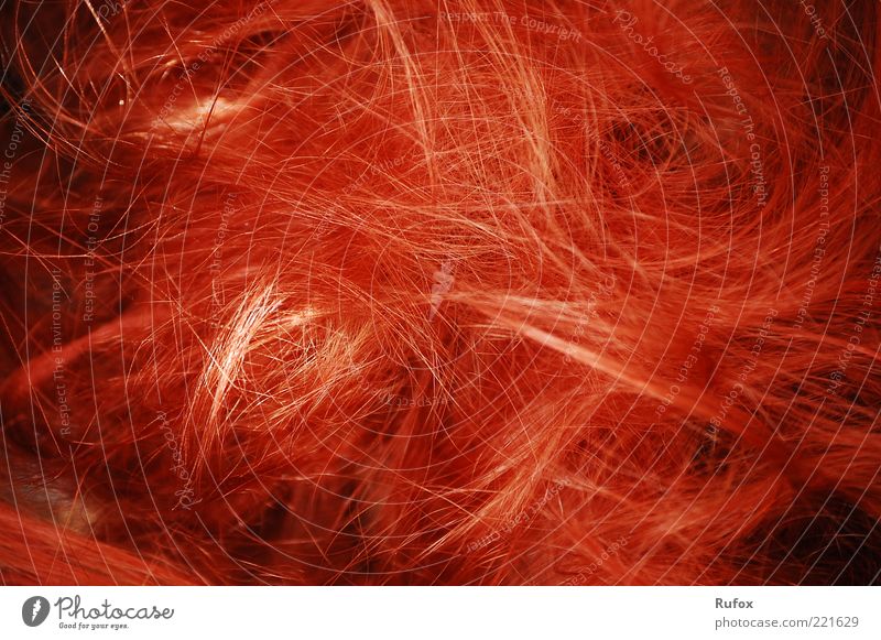 Red "lettuce" á la carte Hair and hairstyles Red-haired Long-haired Wig Line Thin Exotic Free Uniqueness Whimsical Chaos Colour photo Detail