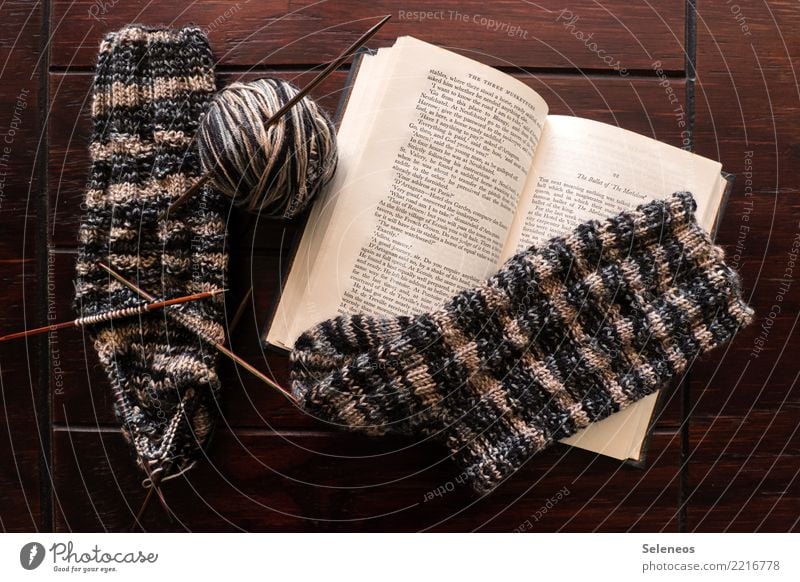 winter employment Relaxation Calm Leisure and hobbies Reading Handcrafts Knit Stockings Book Wool Ball of wool Wooly Wool socks Knitting needle Knitting pattern