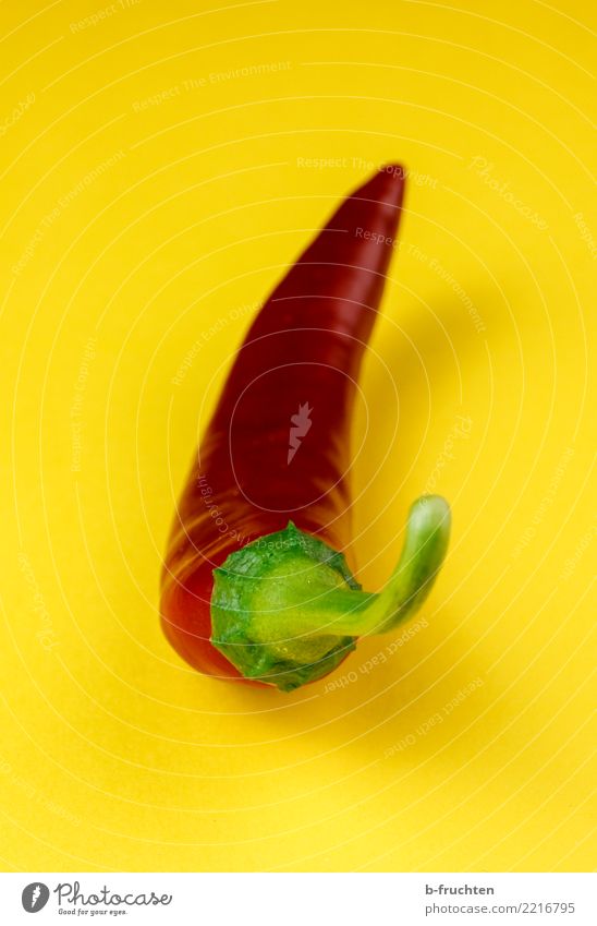 sharp thing Vegetable Lie Healthy Point Yellow Red pepperoni Chili Tangy Spicy Pepper Mature Harvest Interior shot Studio shot Close-up Deserted