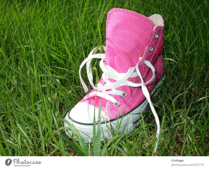 chuck berry Sneakers Chucks Meadow Footwear Leisure and hobbies Contrast