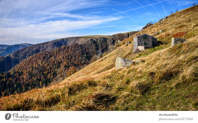 Autumn colours in French Vacation & Travel Mountain Hiking Climbing Mountaineering Cycling Nature Landscape Sky Clouds Beautiful weather Grass Bushes Meadow