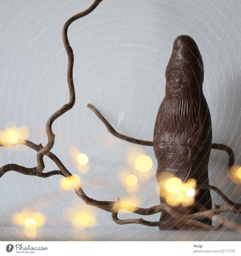 Christmas Herald Candy Chocolate Chocolate Santa Claus Twig Wall (barrier) Wall (building) Illuminate Stand Exceptional Uniqueness Delicious Brown Yellow Gray