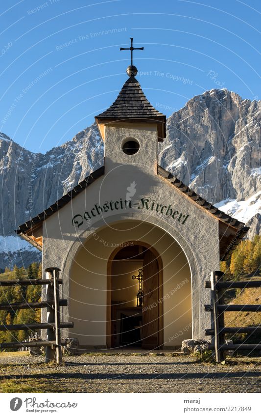 Enter and linger Vacation & Travel Hiking Nature Cloudless sky Autumn Mountain Dachstein Church Building Monument Door Crucifix Safety (feeling of) Hope Belief