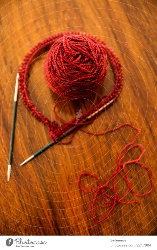 Before Senses Calm Leisure and hobbies Playing Handcrafts Knit Soft Red Ball of wool Wooly Sewing thread Knitting needle Colour photo Interior shot Detail
