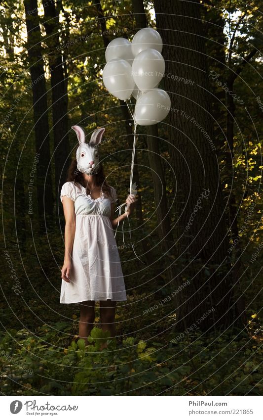 follow the white rabbit Exotic Face Carnival Hallowe'en Human being Feminine Young woman Youth (Young adults) Woman Adults 1 Nature Tree Forest Dress Mask