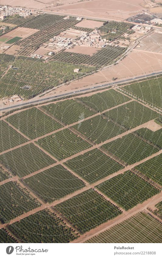 #A# Water scarce Art Esthetic Morocco Agriculture Bird's-eye view Arabia Near and Middle East Irrigation Colour photo Subdued colour Exterior shot Pattern