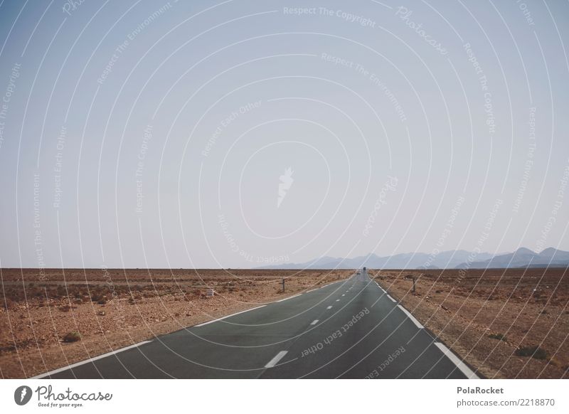 #A# Roadtrip Landscape Esthetic Desert Desert road Desert plant Street Asphalt Highway road trip Road movie Morocco Colour photo Multicoloured Exterior shot
