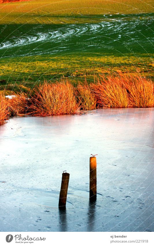 Sun and ice Landscape Water Sunlight Winter Ice Frost Pond Natural Beautiful Style Colour photo Exterior shot Deserted Evening Deep depth of field Lakeside