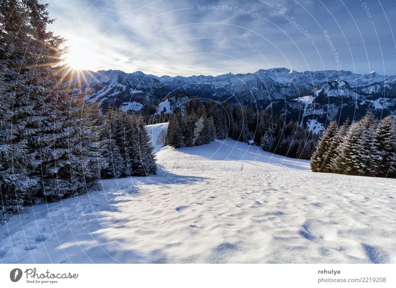 morning sunshine in snowy Alps Vacation & Travel Sun Winter Snow Mountain Nature Landscape Ice Frost Forest Hill White star Alpine peak Spruce coniferous