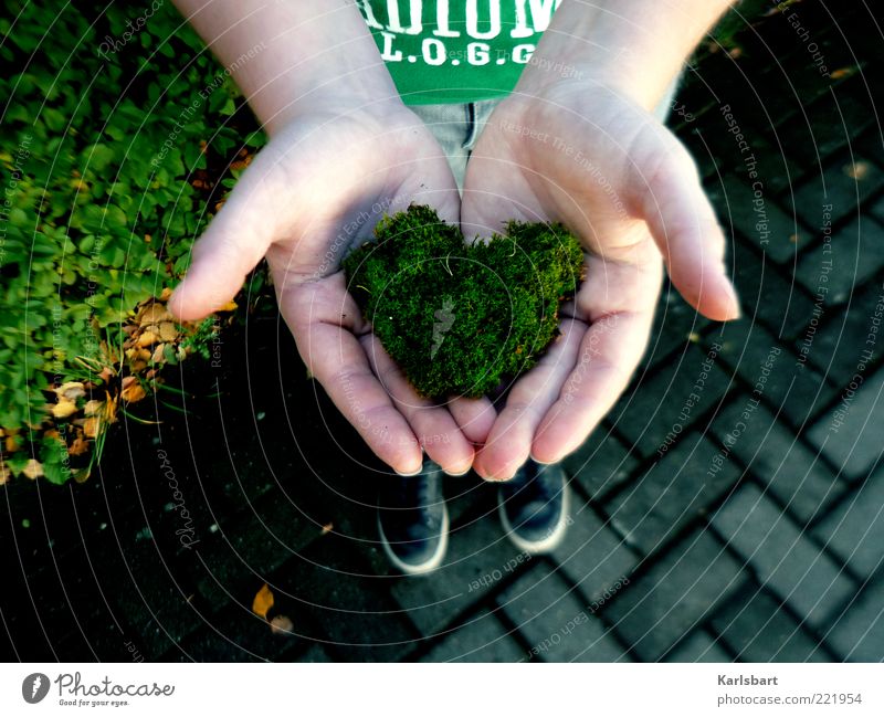 green heart. Lifestyle Happy Well-being Playing Parenting Human being Child Toddler Partner Infancy Hand 1 Environment Nature Summer Moss Love Heart