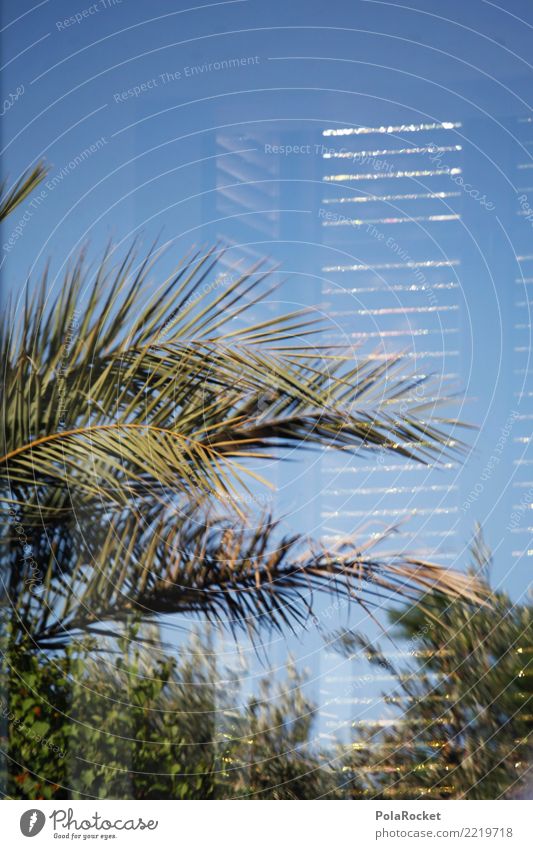 #A# modern Deserted Esthetic Luxury Window Reflection Palm tree Vacation & Travel Vacation photo Vacation mood Vacation destination Villa Summer vacation Design