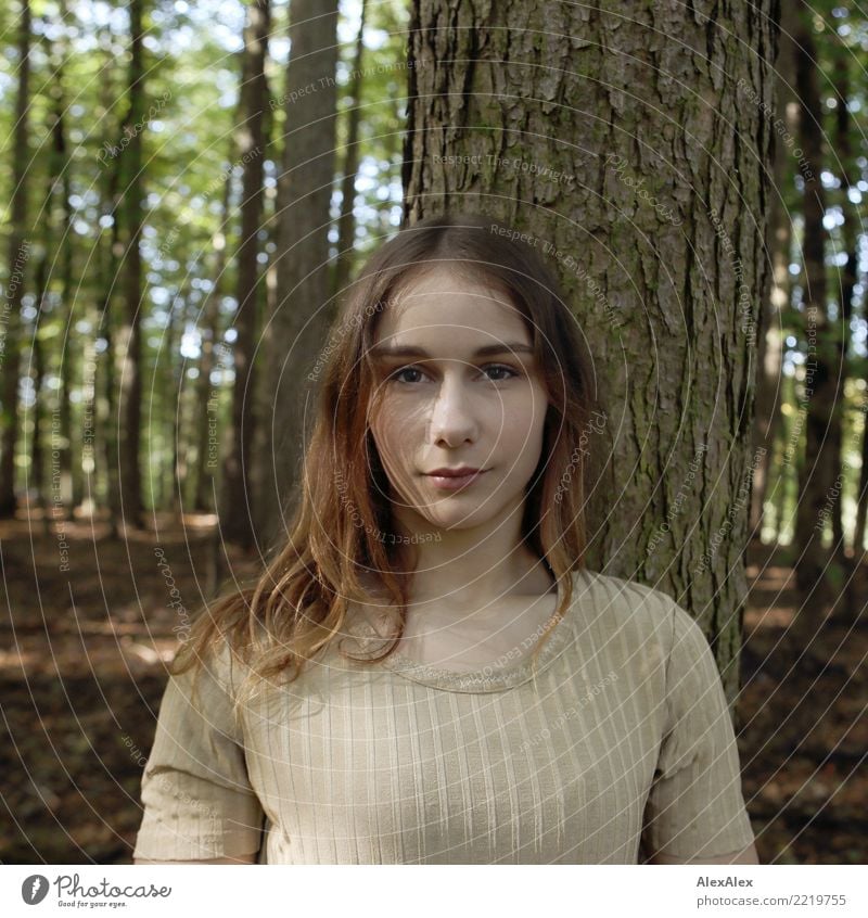 Portrait of a young slender woman in the forest pretty Life Young woman Youth (Young adults) Face 18 - 30 years Adults Nature Beautiful weather Tree Forest Top