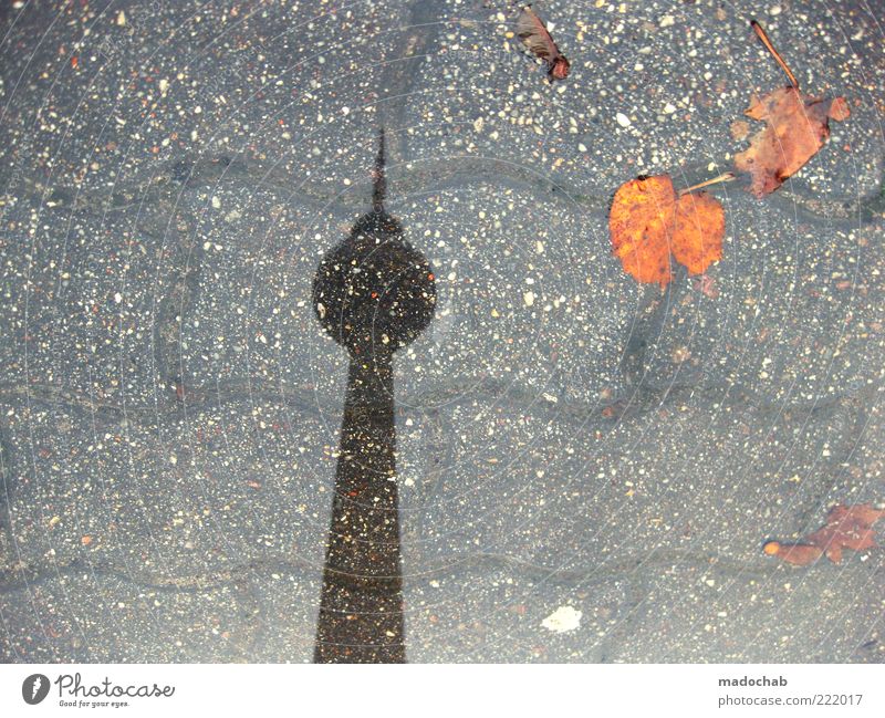 totem Environment Nature Autumn Climate Climate change Weather Bad weather Rain Berlin Tower Architecture Berlin TV Tower Bizarre Puddle Leaf Colour photo