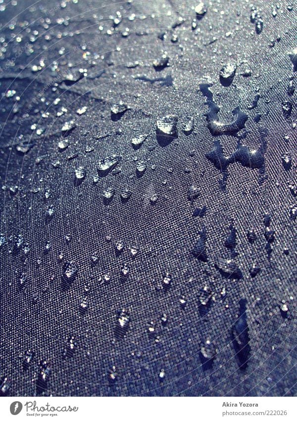 ame agari Weather Beautiful weather Bad weather Rain Water Glittering Fluid Cold Near Black White Umbrella Drop Colour photo Subdued colour Exterior shot