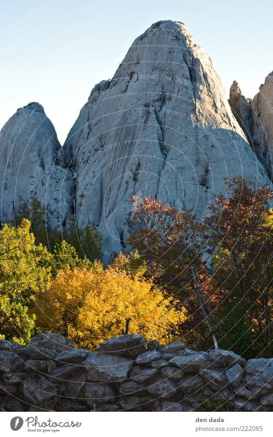 Bojinac in Croatia / Velebit Vacation & Travel Tourism Adventure Freedom Mountain Nature Landscape Plant Cloudless sky Autumn Beautiful weather Tree Rock Peak