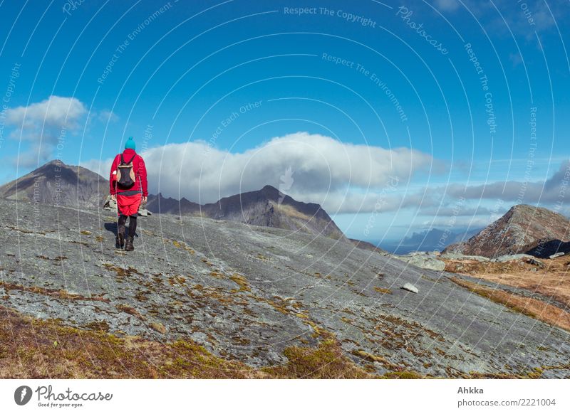 Clouds visit, Young man in red on summit course, Lofoten Relaxation Calm Vacation & Travel Trip Adventure Hiking 1 Human being Nature Landscape Elements