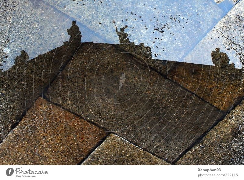 mirroring Sculpture Castle Architecture Facade Roof Transience Puddle Rain Perspective Paving stone Wet Damp Reflection Rectangle Baroque Roof ridge Gable