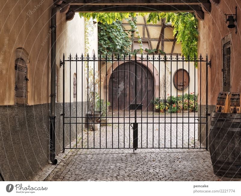 Rejection, we gotta stay out of this. Plant Old town Facade Door Authentic Historic Interior courtyard Iron gate Vine Wine cask Alsace eguisheim Cobblestones