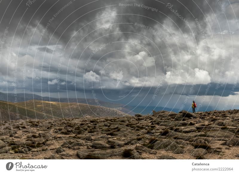 Weather front in the mountains, hikers on the horizon Masculine 1 Human being Landscape Storm clouds Horizon Summer Bad weather Rain Thunder and lightning Moss