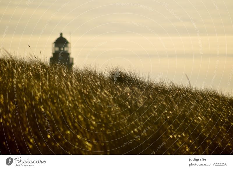 western beach Environment Nature Landscape Sky Sunlight Climate Grass Coast Baltic Sea Lighthouse Manmade structures Natural Beautiful Gold Moody