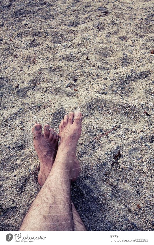 0oooo oooo0 Masculine Legs Feet Sand Beach Relaxation Vacation & Travel Hair Toes Colour photo Exterior shot Copy Space top Barefoot Copy Space right Day