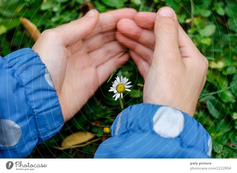 I'm protecting you! Young woman Youth (Young adults) Hand Fingers 8 - 13 years Child Infancy Environment Nature Plant Curiosity Green Happy Enthusiasm Trust