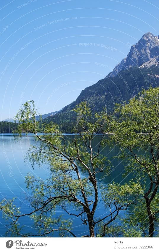 Eibsee Summer Mountain Environment Nature Landscape Plant Water Sky Cloudless sky Beautiful weather Tree Alps Lakeside Colour photo Exterior shot Deserted Day