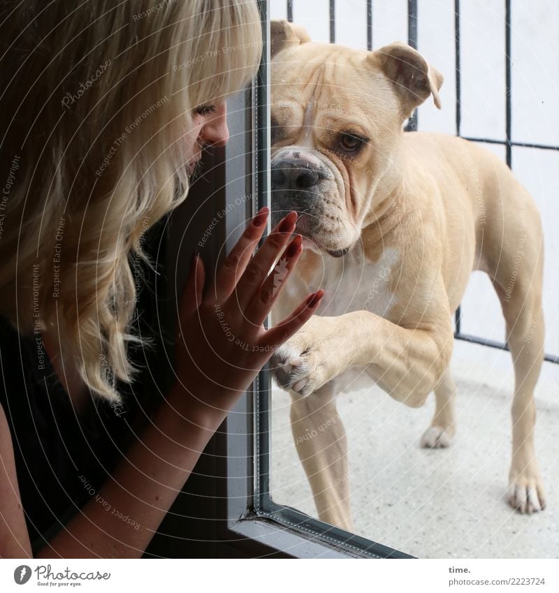 Lilly Room Balcony Glass door Feminine Woman Adults 1 Human being Blonde Long-haired Dog Animal Observe Communicate Warmth Willpower Passion Trust