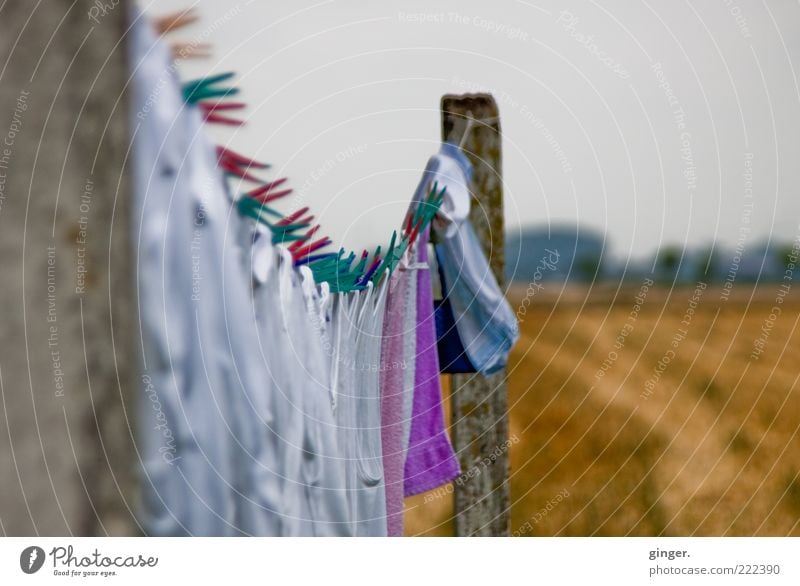 stapling Nature Bad weather Hang Dry Holder Clothes peg Pole Clothesline Laundry Fresh Laundered Field Clouds Covered Gray White Rural Summer Colour photo