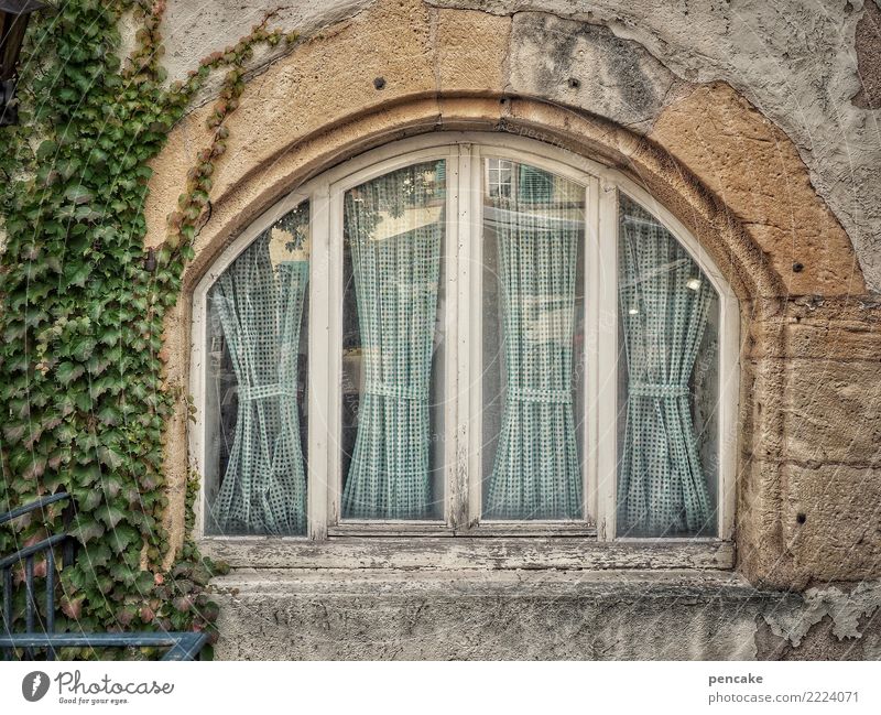 Build with swing Old town House (Residential Structure) Facade Window Historic Arch Ivy Alsace Colour photo Exterior shot Structures and shapes Deserted