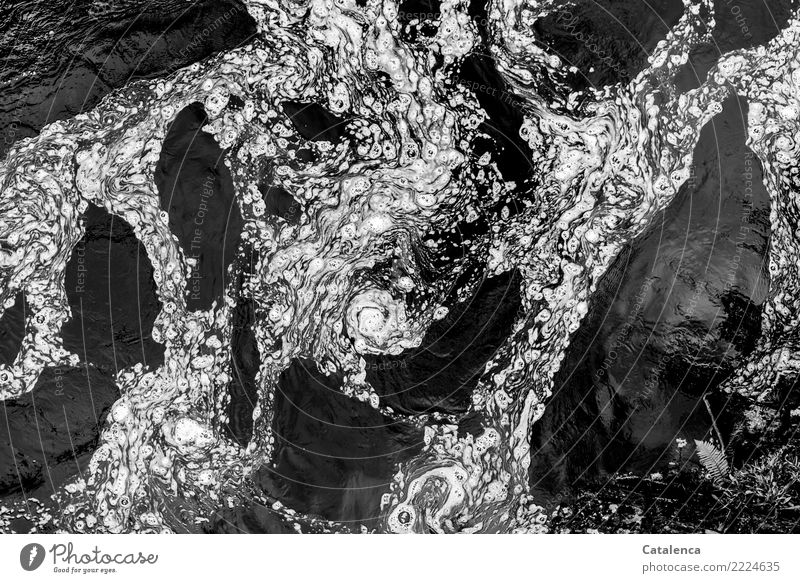 creative | foam on dark river water River Glittering Exceptional Threat Fresh Cold Black White Moody Nature Environment River water Exterior shot Pattern