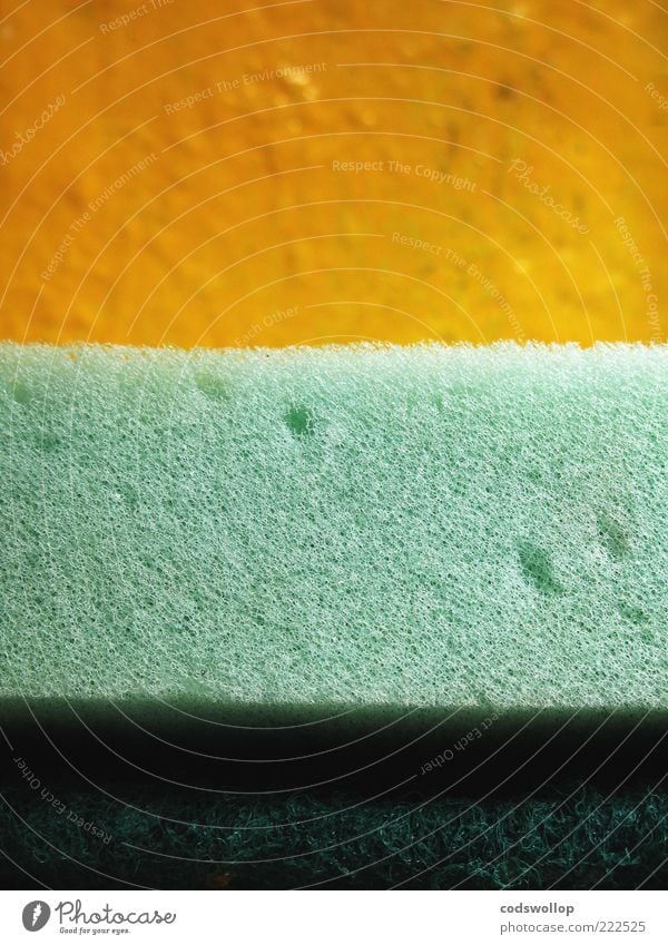 everything is average nowadays Sponge Yellow Green Clean Household item Body care tools Do the dishes Cleaning Colour photo Interior shot Detail