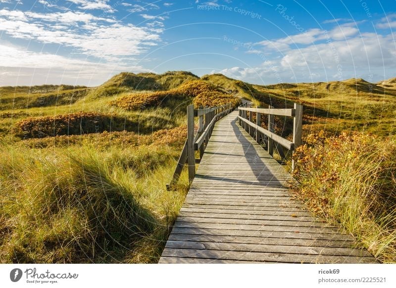 Landscape in the dunes on the island of Amrum Relaxation Vacation & Travel Tourism Island Nature Clouds Autumn Coast North Sea Bridge Lanes & trails Blue