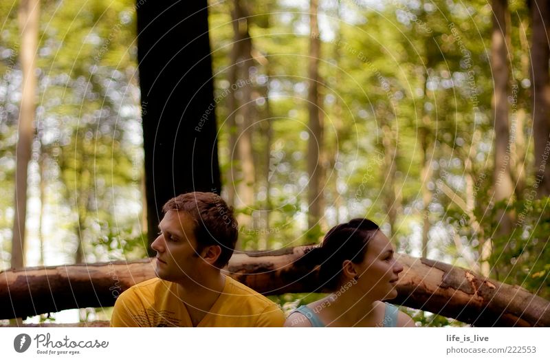 common silence To be silent Together Calm Forest Meditative Young man Young woman Summer Tree Longing Pair of animals Looking away Tree trunk Man Woman Sunlight