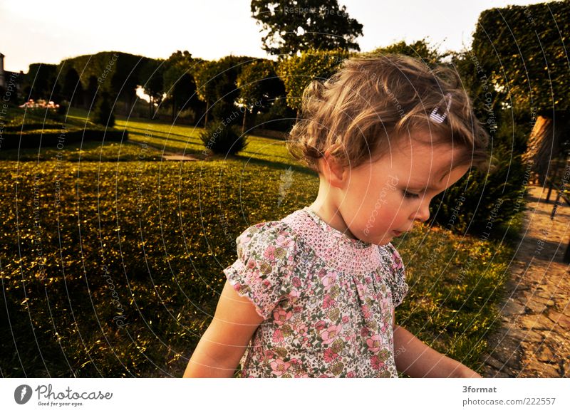 Clare Toddler Girl Infancy Life Head Face 1 Human being 1 - 3 years Landscape Summer Beautiful weather Garden Park Meadow Dress Walking Playing Free Happiness