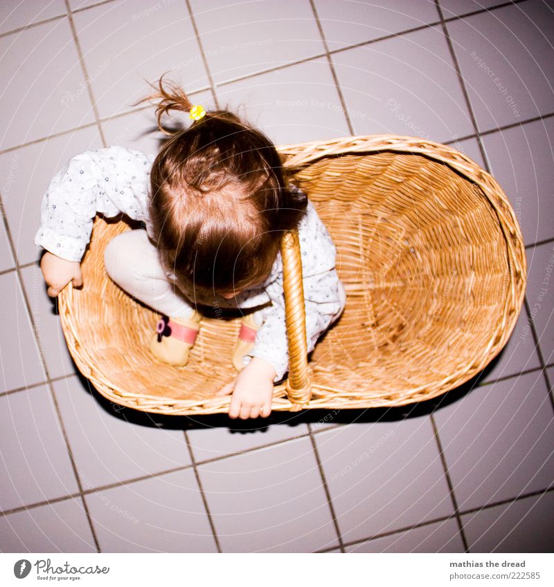 Hidden Joy Happy Playing Human being Baby Toddler Infancy 1 1 - 3 years Crouch Funny Curiosity Hide Basket Small Beautiful Tile Discover Cute Braids To hold on