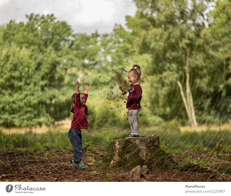 Autumn in Lüneburger Heide Joy Happy Leisure and hobbies Playing Vacation & Travel Tourism Trip Adventure Freedom Child Girl Boy (child) Brothers and sisters