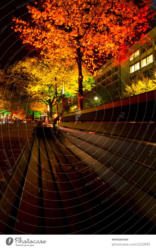 light bench Berlin Town Capital city Yellow Green Red Black White Colour photo Multicoloured Exterior shot Night Artificial light Long exposure Worm's-eye view