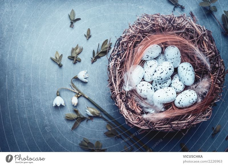 Easter nest Design Joy Decoration Table Feasts & Celebrations Nature Spring Plant Flower Bushes Leaf Blossom Bouquet Sign Style Tradition Background picture