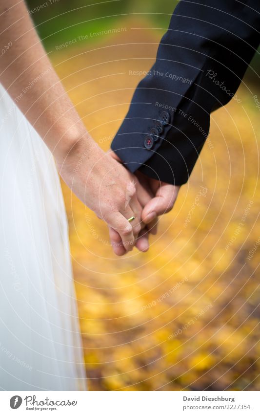 hand in hand Wedding Masculine Feminine Couple Partner 2 Human being Happy Trust Safety Safety (feeling of) Together Love Infatuation Loyalty Romance Hand