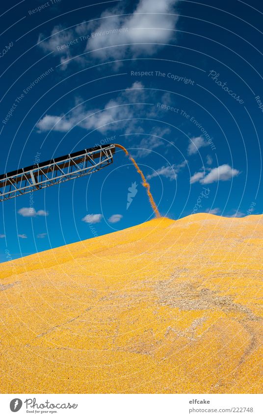 Corn Mountain Series, Shoot #3 Machinery Scale Renewable energy Energy crisis Environment Landscape Plant Sky Clouds Autumn Beautiful weather Agricultural crop