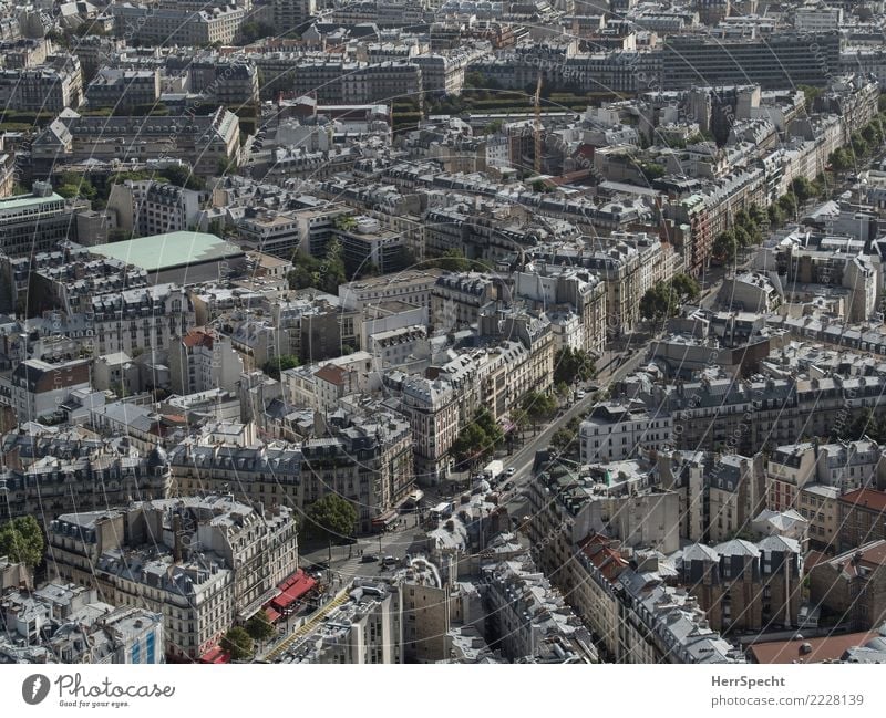 Boulevard du Montparnasse Paris Capital city Downtown Old town House (Residential Structure) Building Architecture Exceptional Beautiful Town Gray Overview
