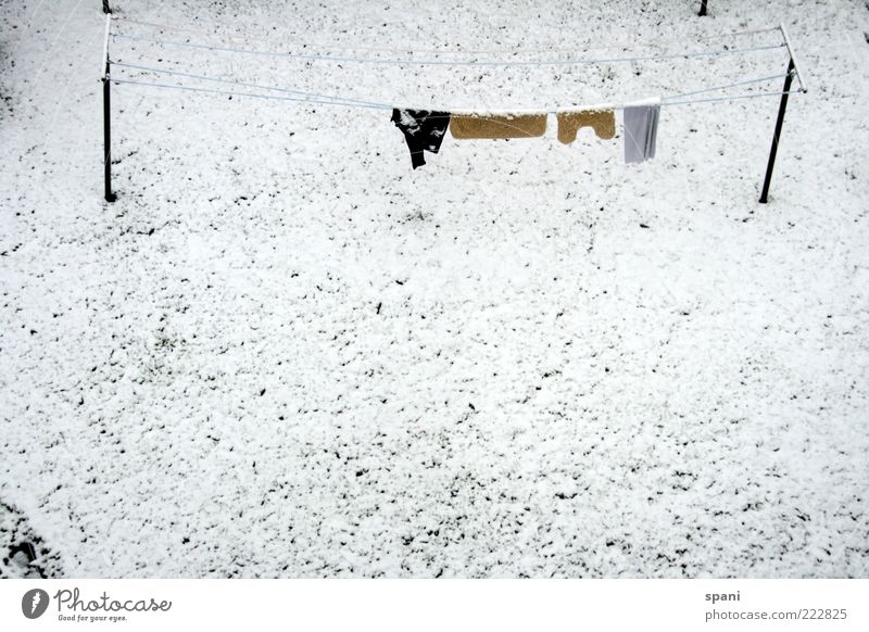 Well-groomed hang out... Winter Snow Grass Garden Shirt Pants Hang Bright White Stagnating Clothesline Forget Colour photo Exterior shot Copy Space left
