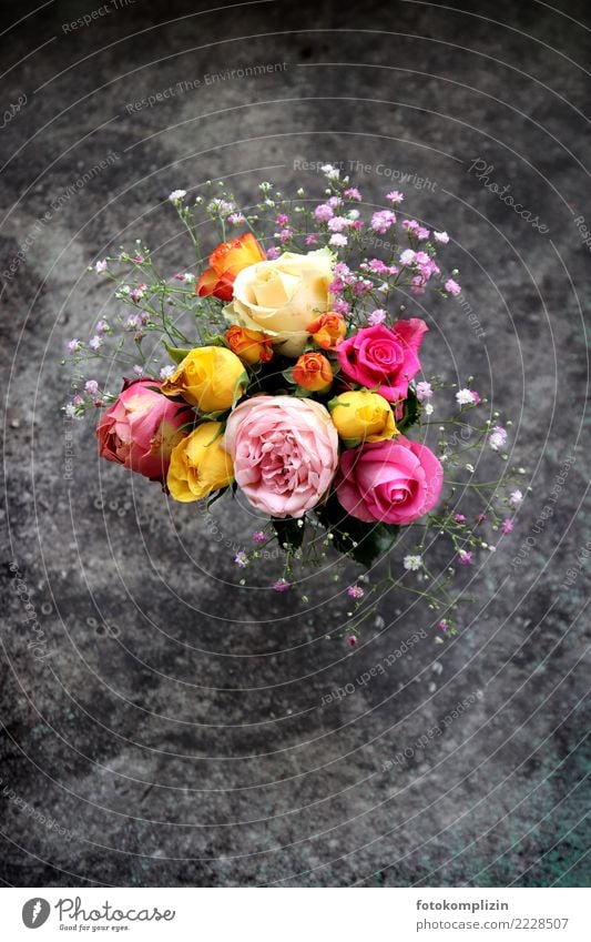 charming little bouquet of roses Valentine's Day Mother's Day Birthday Blossoming Illuminate Fragrance Cute Romance Hope Flower Bouquet pink Enchanting Bud