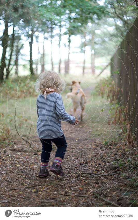 stroll Human being Child Toddler Girl 1 Animal Pet Dog Joy Walk the dog To go for a walk Colour photo Exterior shot Looking away Rear view Full-length Blonde