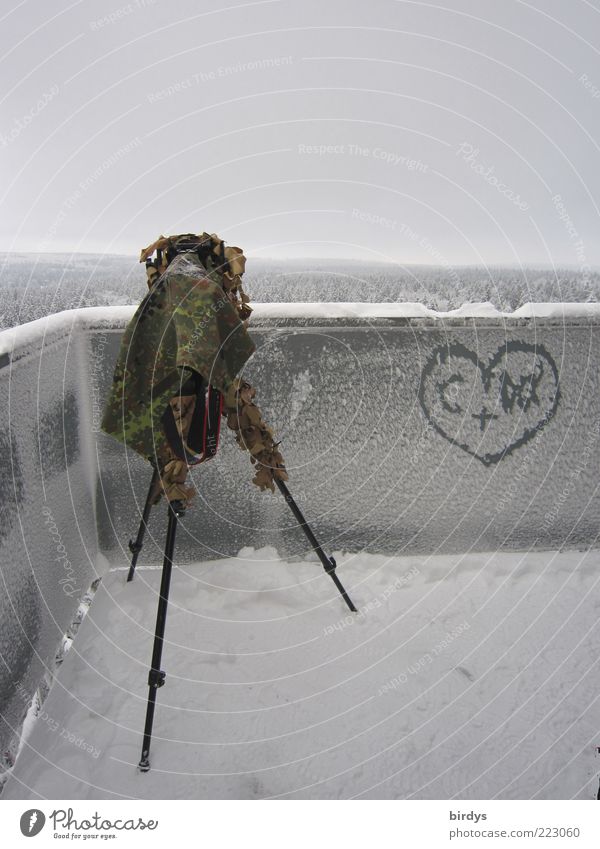 Love vs. frost Video camera Camera Nature Landscape Winter Snow Forest Tower Observe Tall Cold Anticipation Passion Romance Effort Far-off places Infatuation