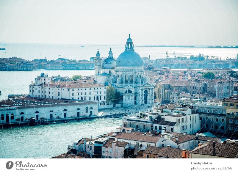 View of Venice Vacation & Travel Tourism Trip Adventure Far-off places Freedom Sightseeing City trip Cruise Italy Europe Town Port City